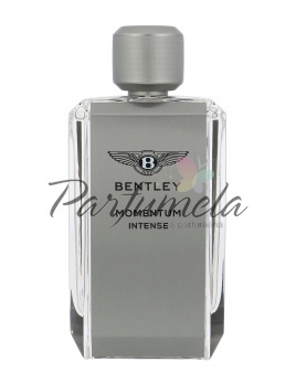 Bentley Momentum Intense, Parfumovaná voda 100ml