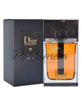 Christian Dior Dior Homme Parfum 2020, Parfum 100ml